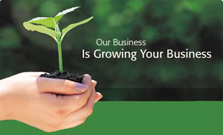 Jim business is growing your business
