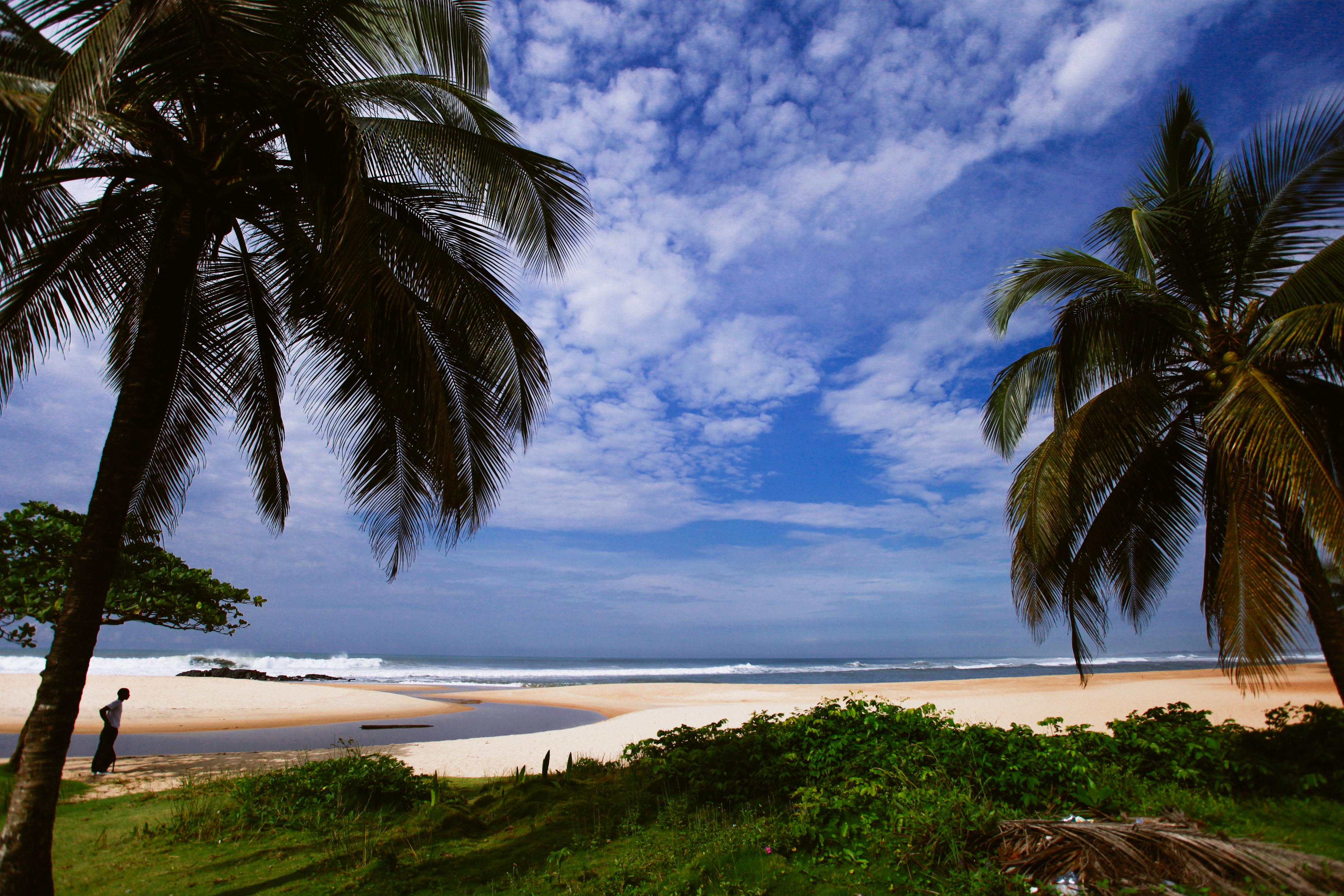 Liberia Car Exporter, Importer and Dealer Dubai Car Exporter Dealer